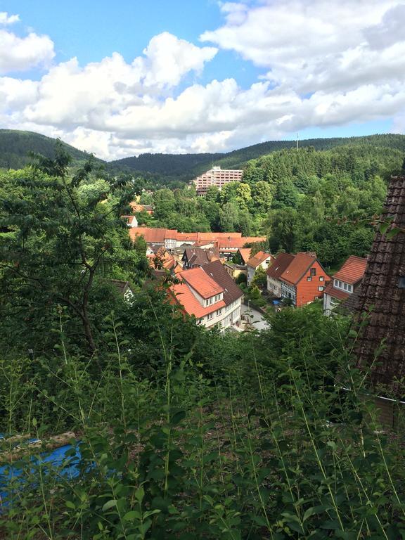 Ferienwohnung Zur Alten Post Bad Grund Exteriör bild