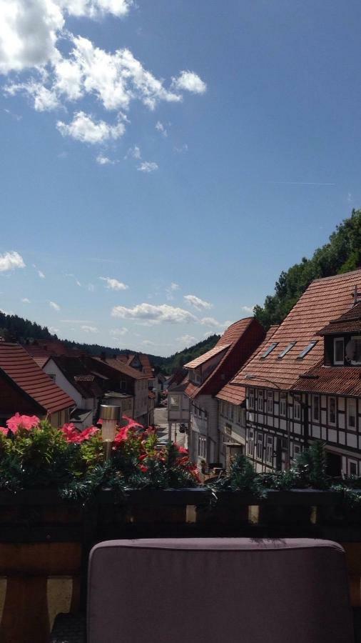 Ferienwohnung Zur Alten Post Bad Grund Exteriör bild