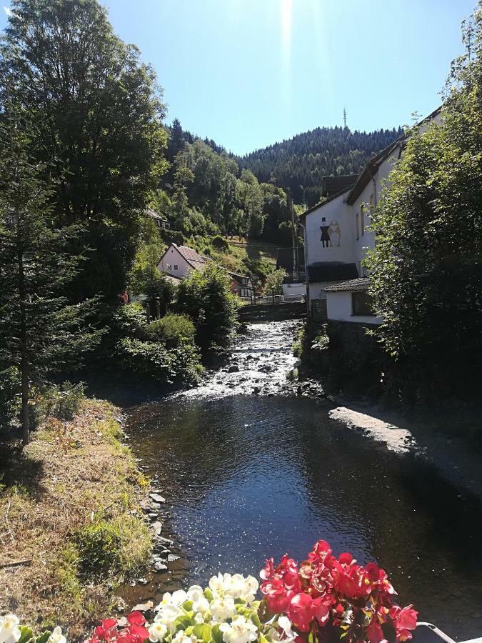 Ferienwohnung Zur Alten Post Bad Grund Exteriör bild