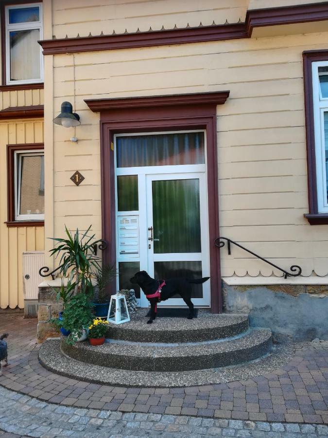 Ferienwohnung Zur Alten Post Bad Grund Exteriör bild